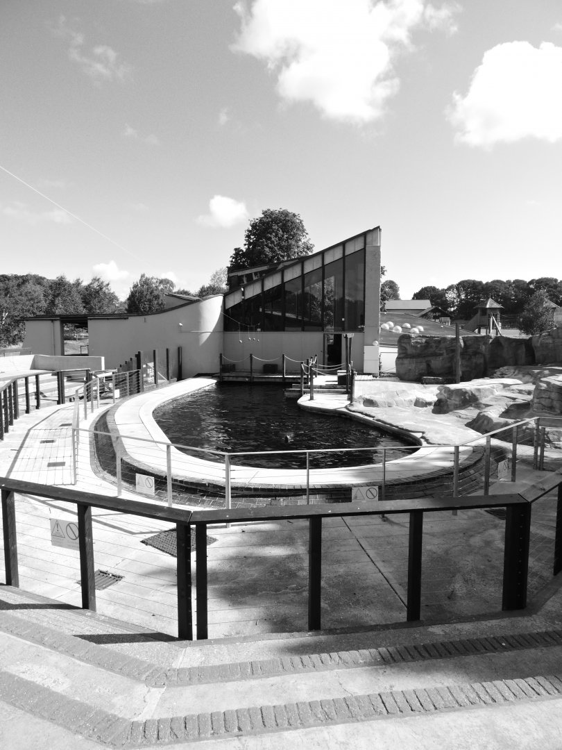 End of an era - dolphin/sealion pool