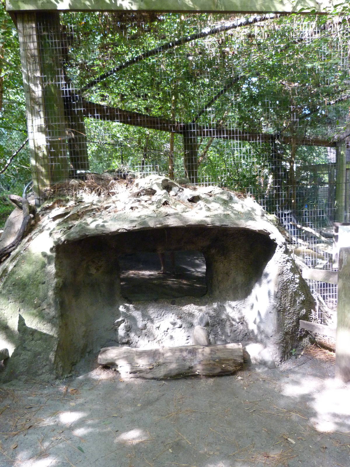 End of Beaver Exhibit -9/7/13