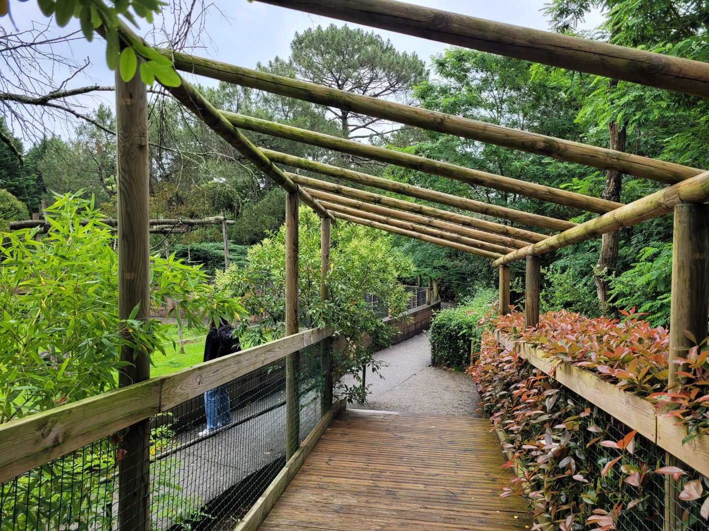 End of broadwalk -Zoo du bassin d'Arcachon (2024)