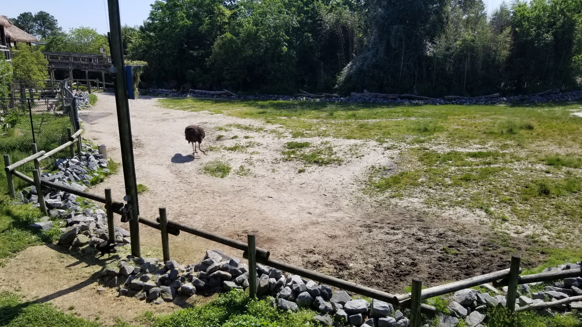 End of giraffe area closest to building