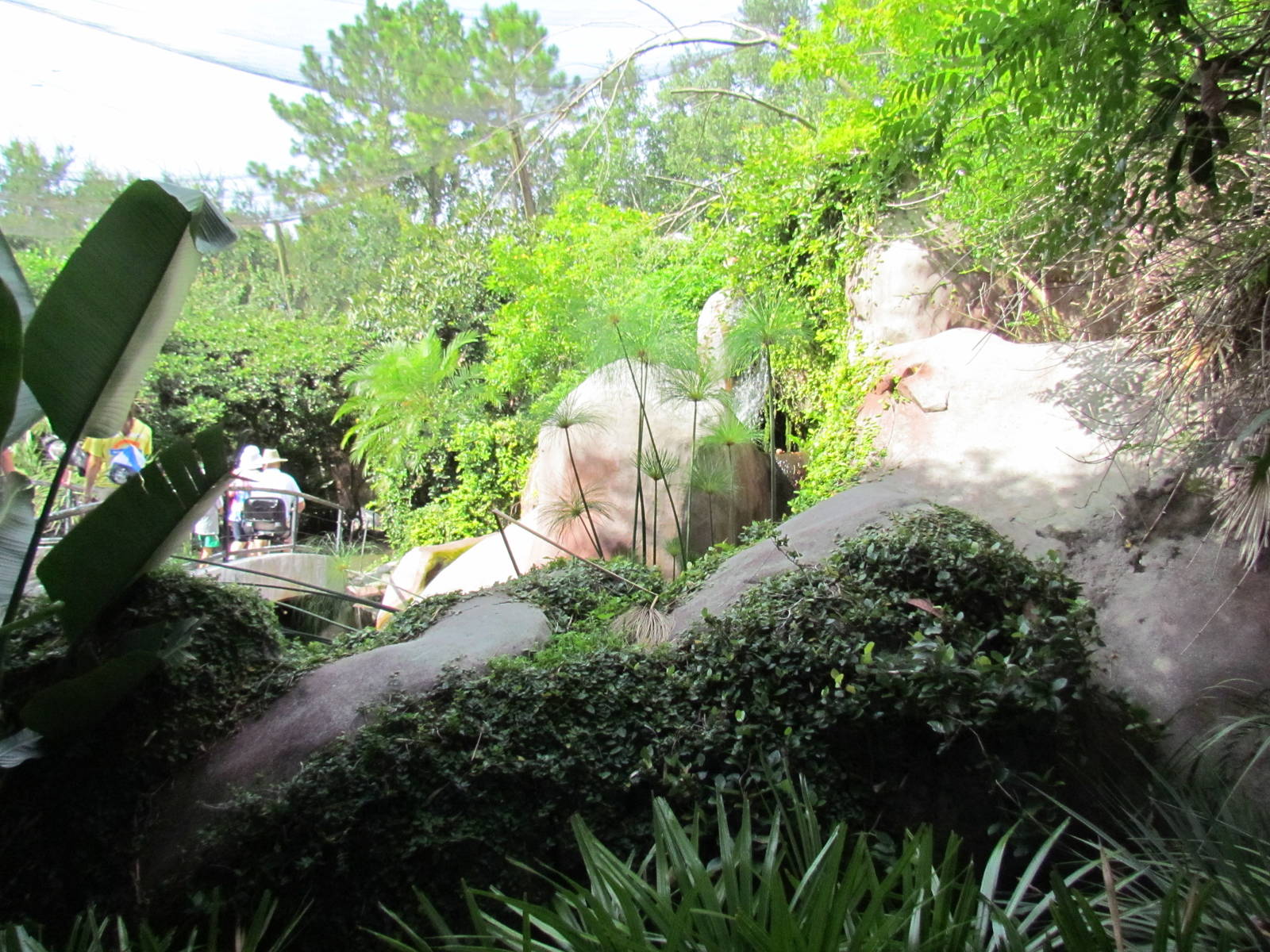 End of River Valley Aviary