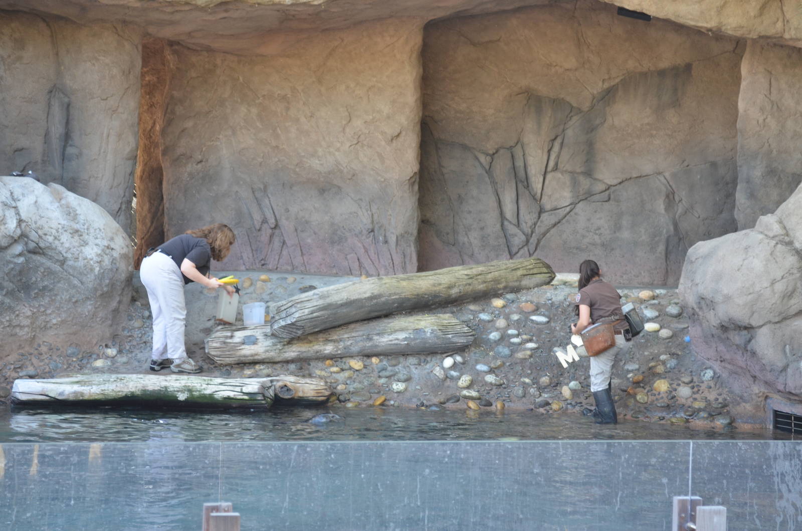 End of Sea Life Cliffs Demonstration