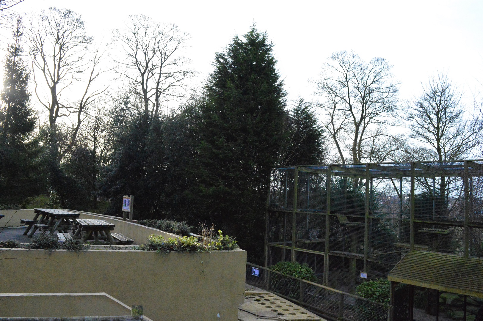 End of snow leopard enclosure