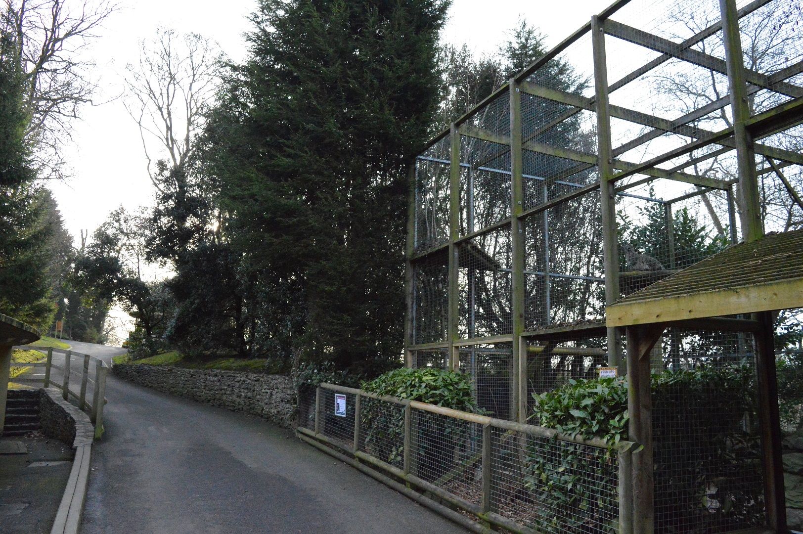 End of snow leopard enclosure