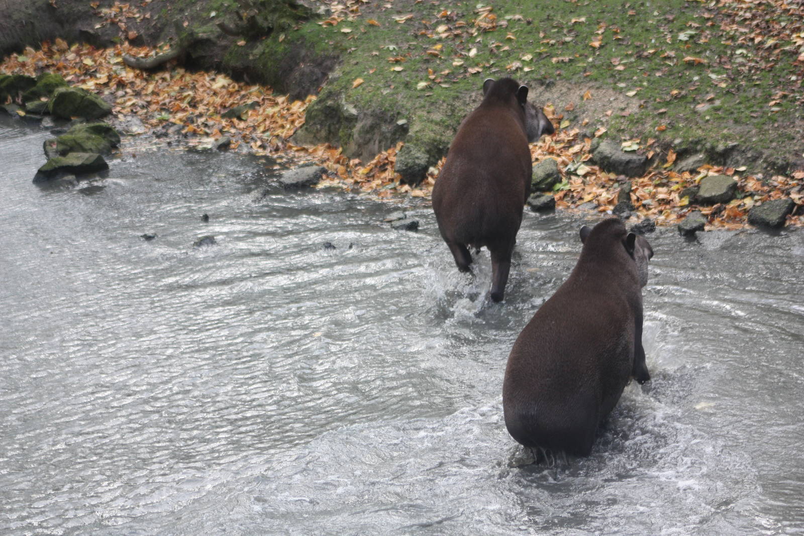 End of swim, 27th October 2014