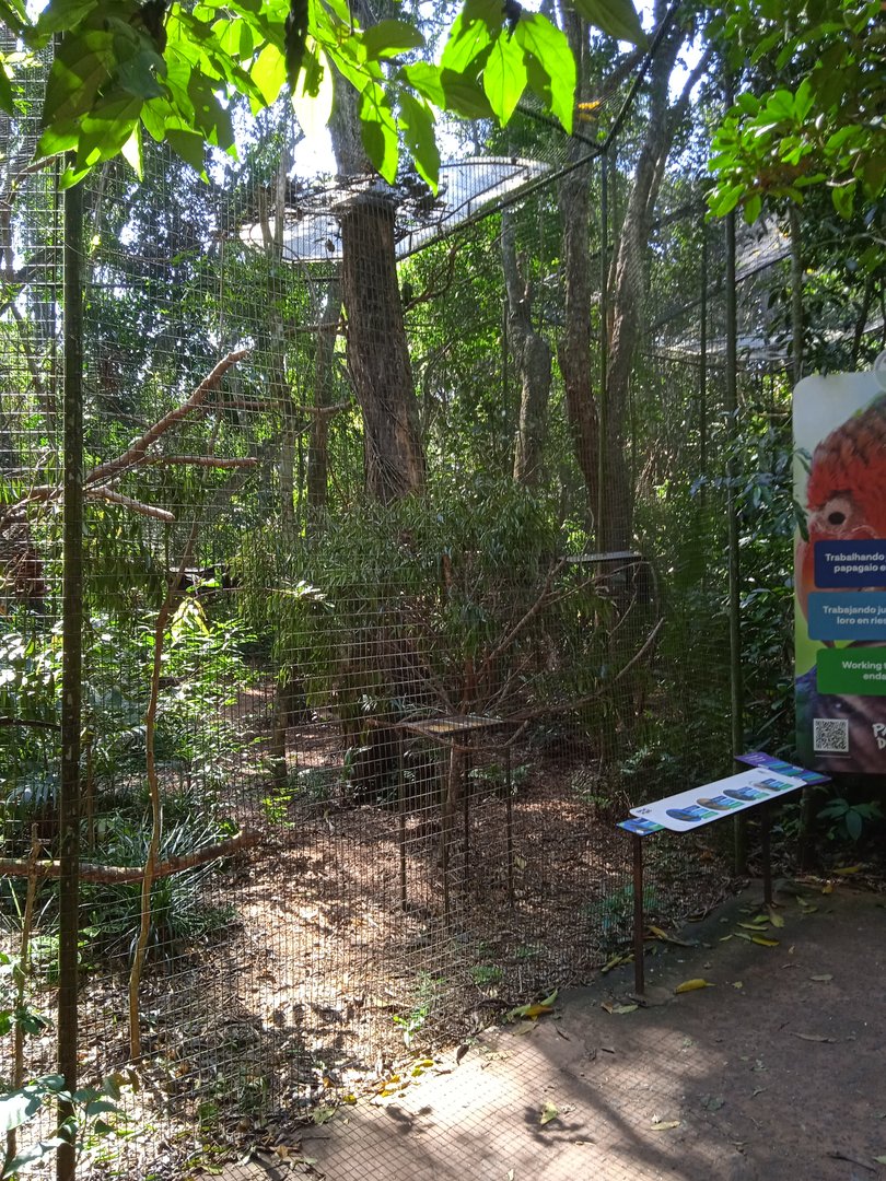 Endangered amazon aviaries