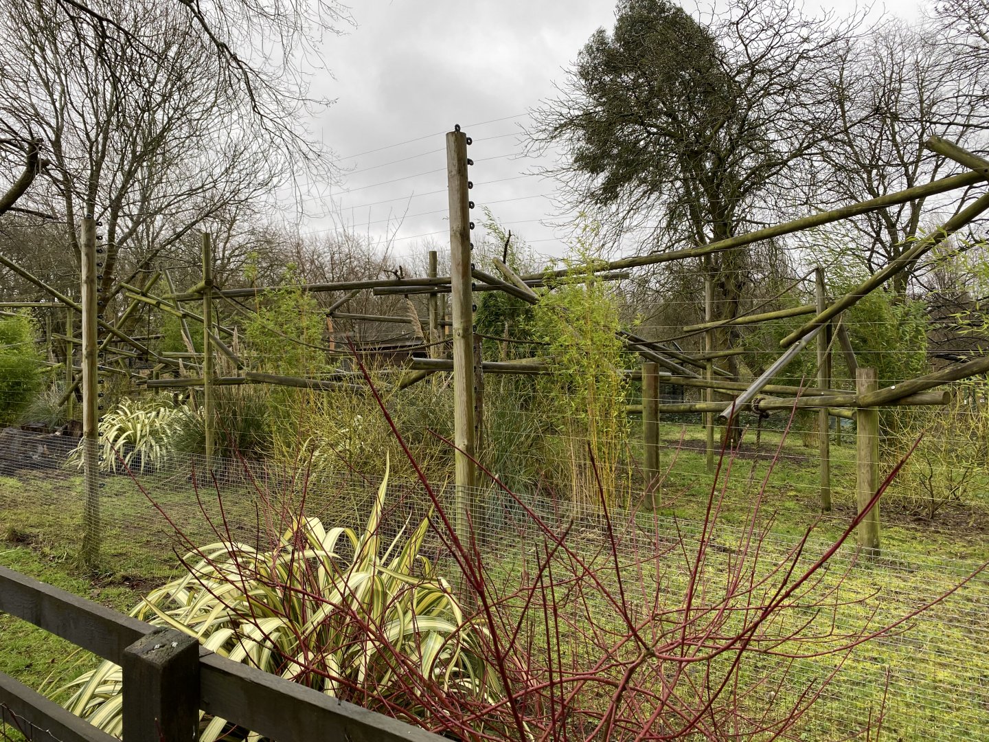 Endangered Amazonia 150220