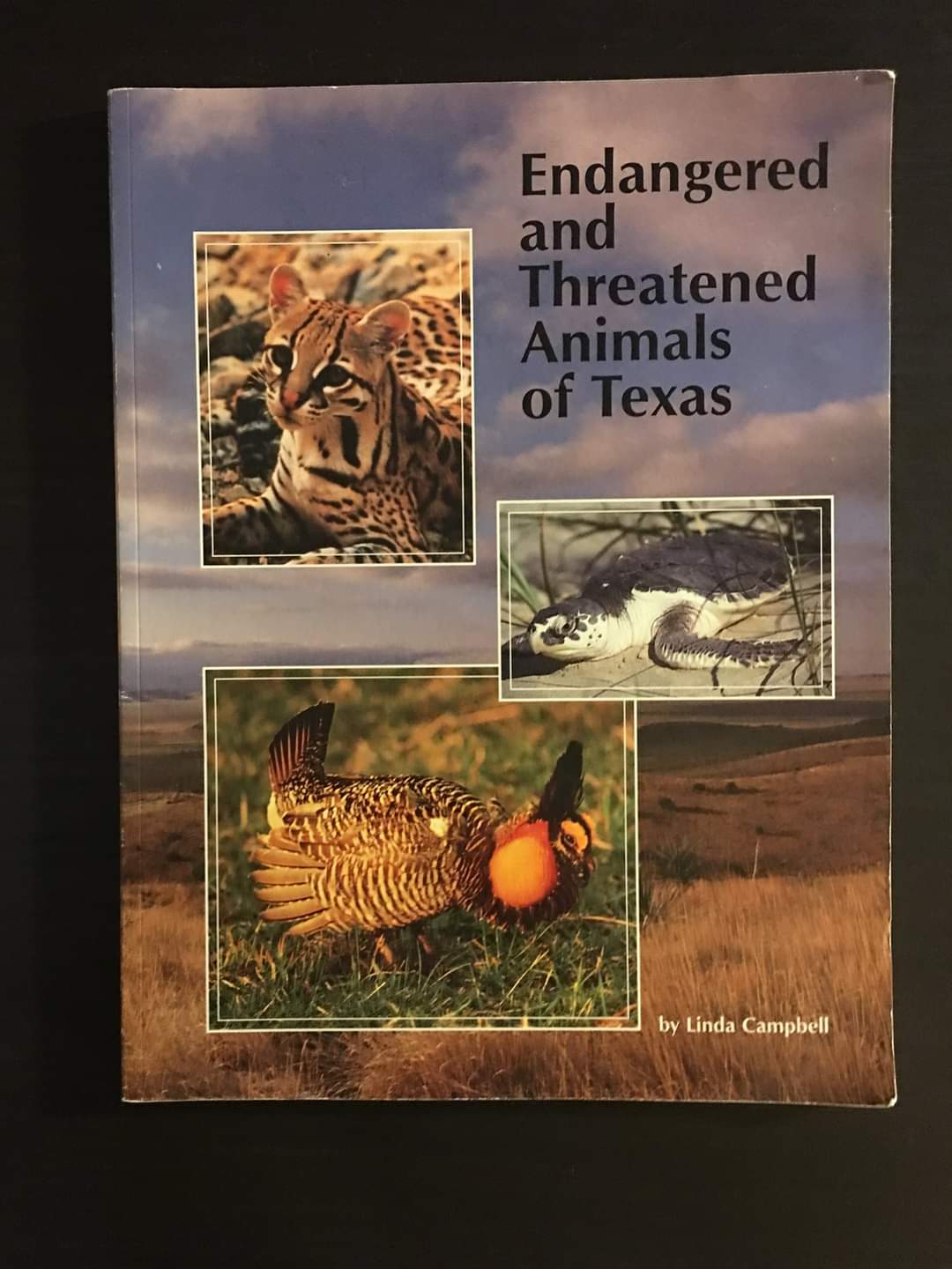 Endangered and Threatened Animals of Texas