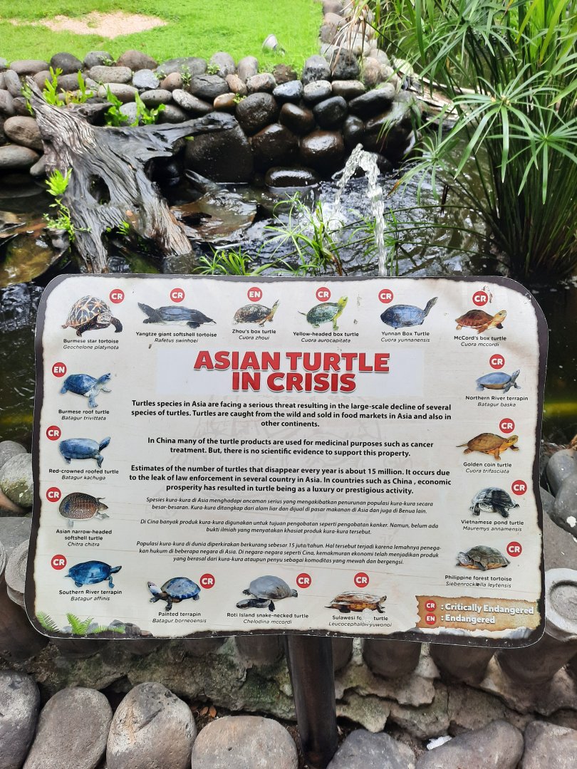 endangered asian turtles signage - 1