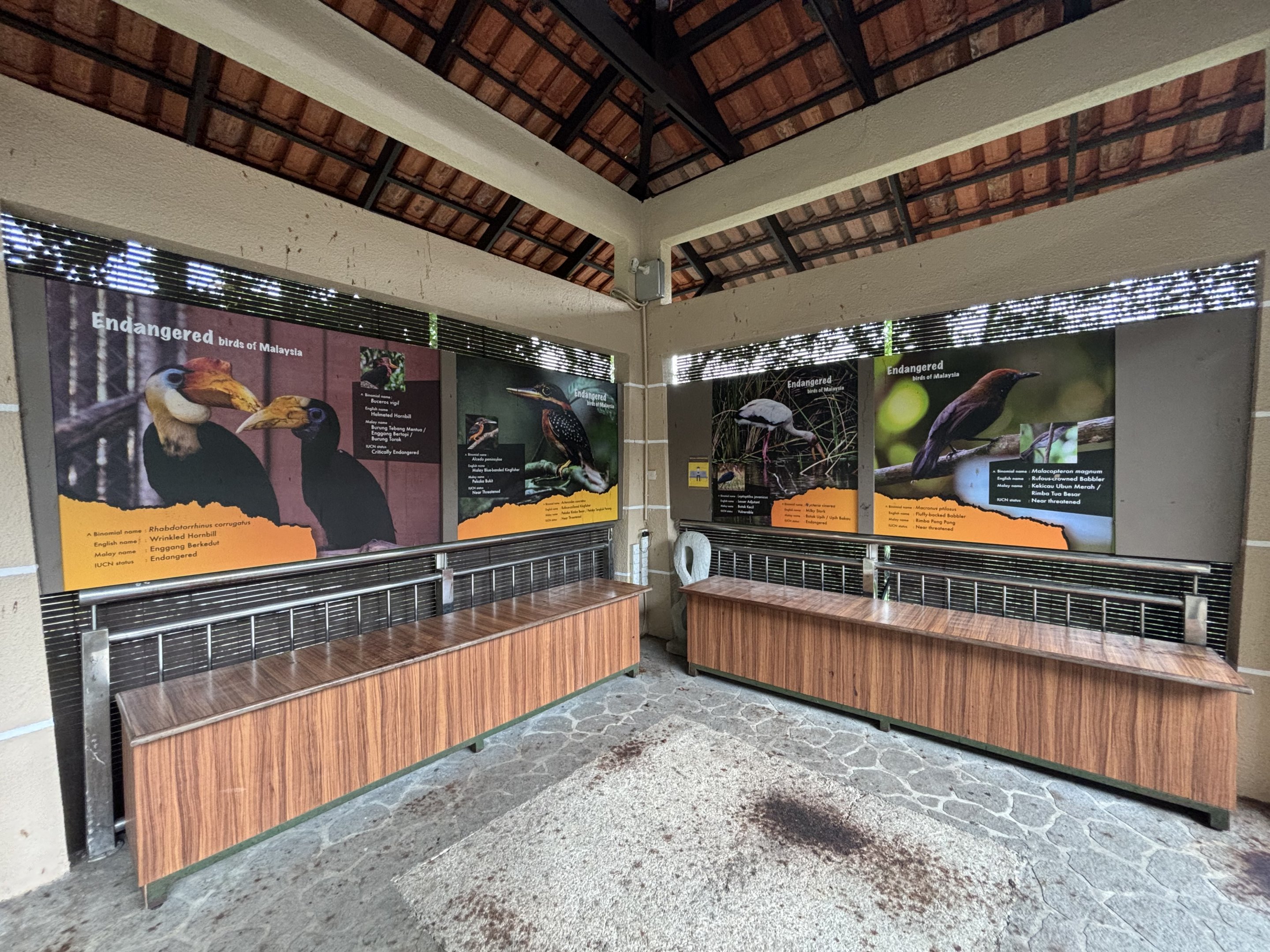 Endangered Birds of Malaysia Signs