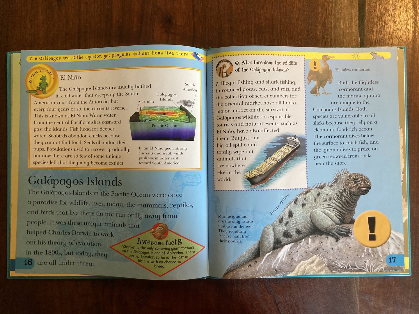 Endangered & Extinct Animals of the Islands & Oceans—Galápagos Islands