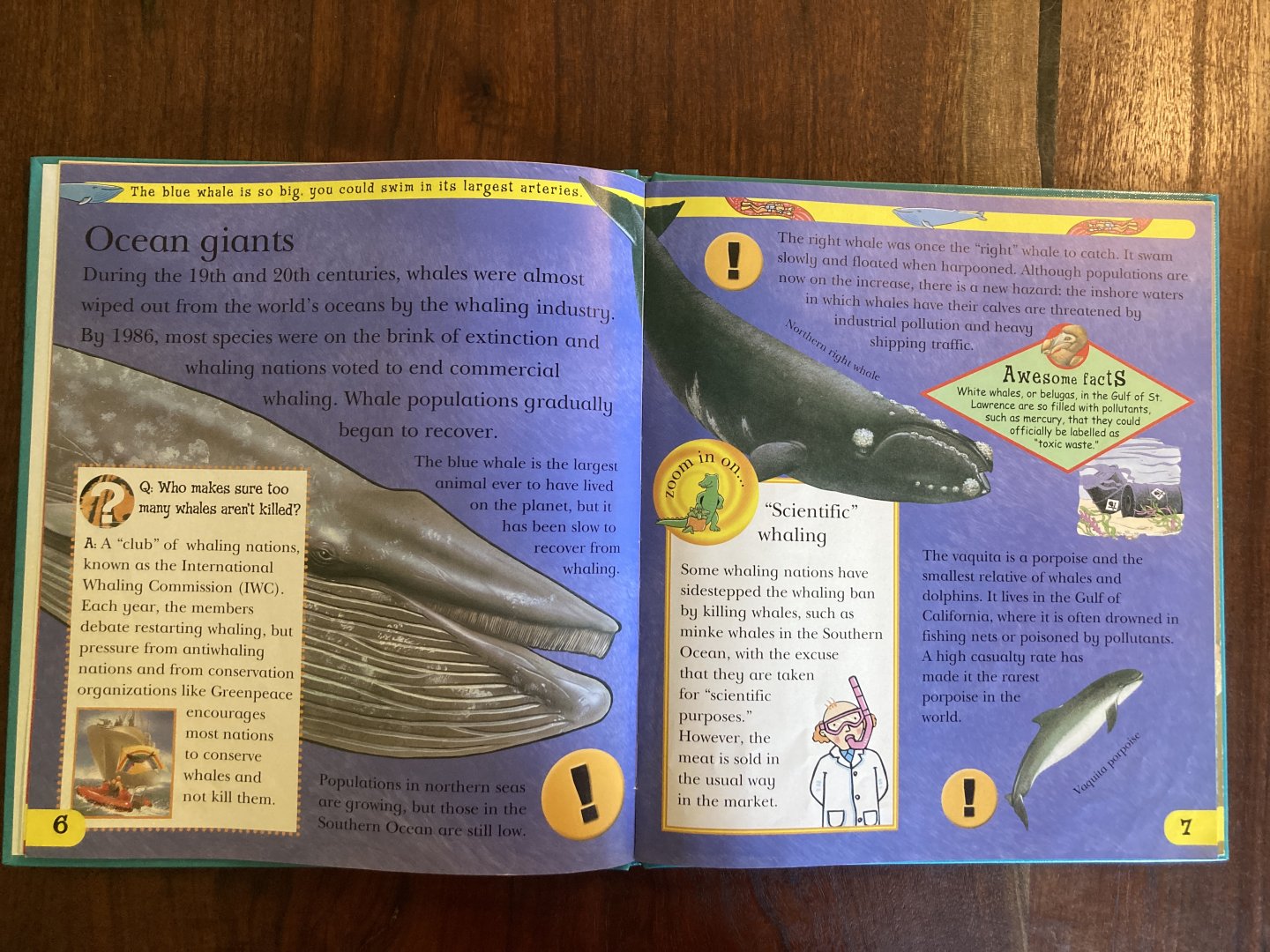 Endangered & Extinct Animals of the Islands & Oceans—Ocean Giants