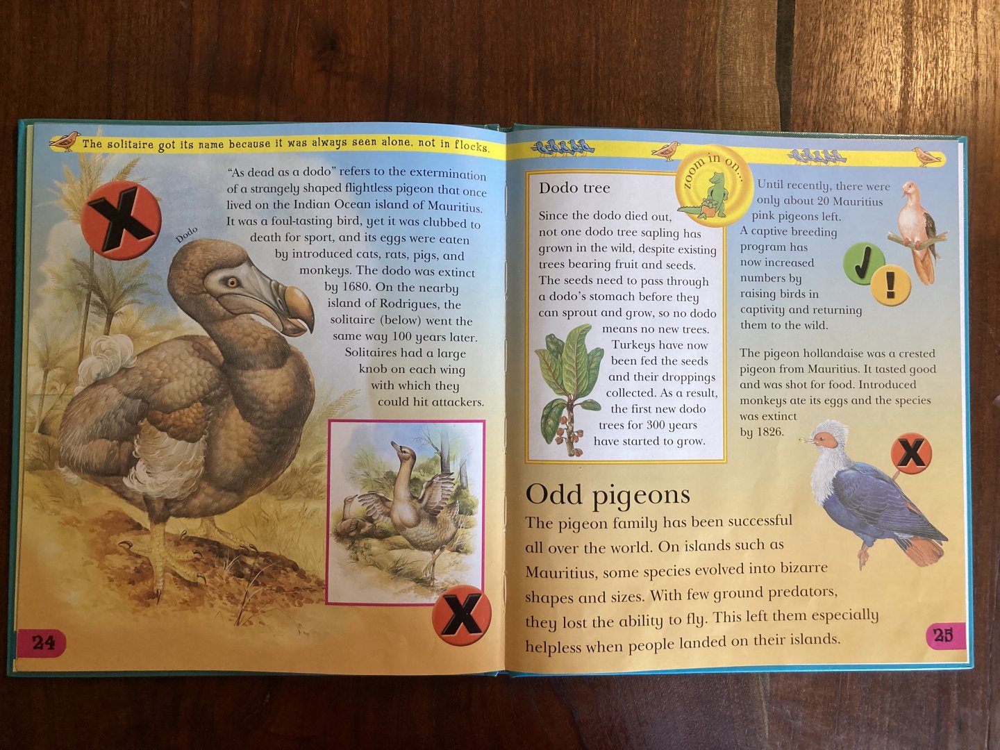 Endangered & Extinct Animals of the Islands & Oceans—Odd Pigeons