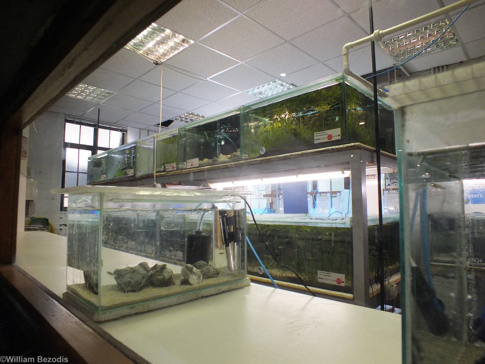 Endangered Fish Breeding Area