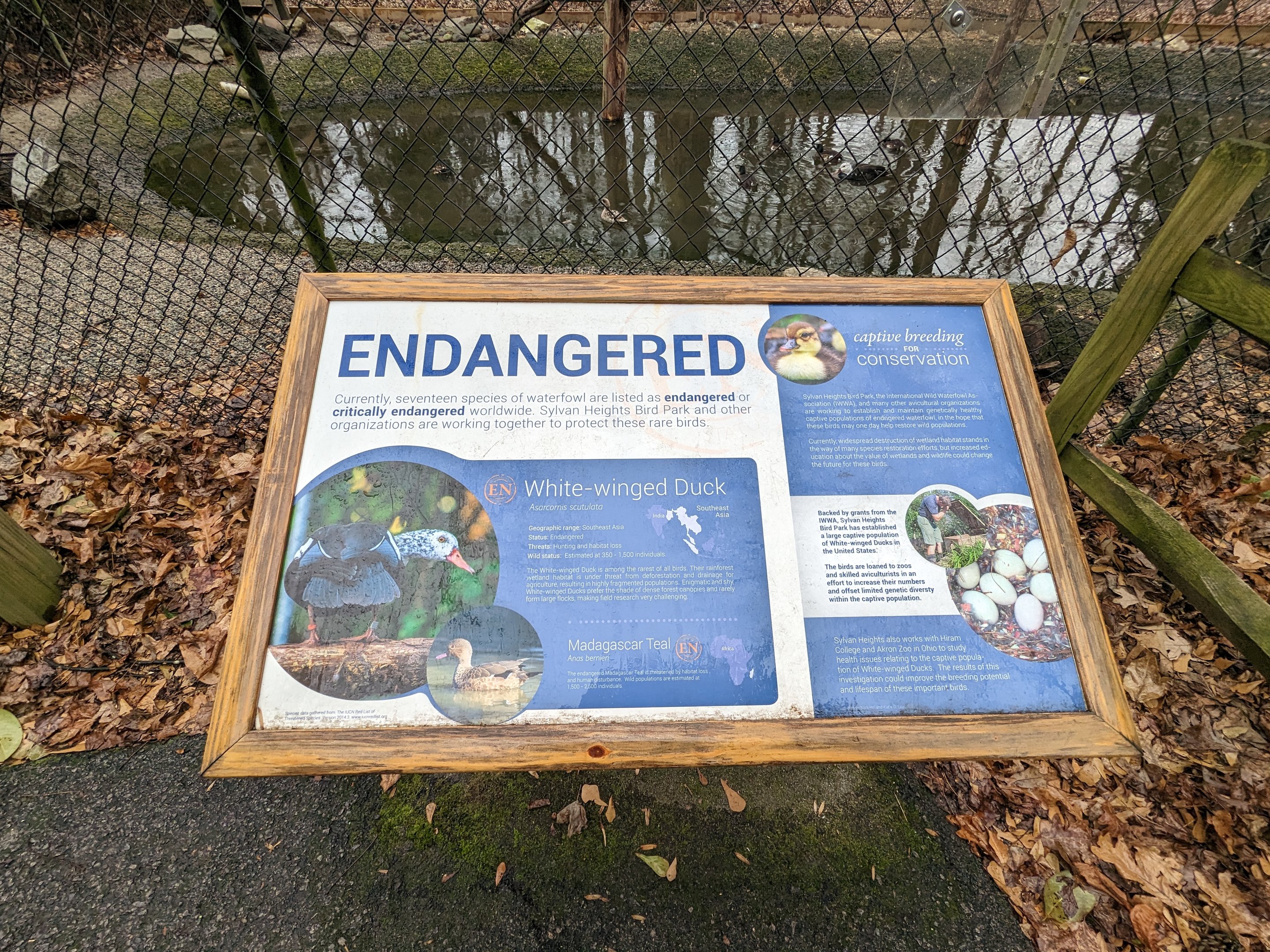 Endangered Pond - sign