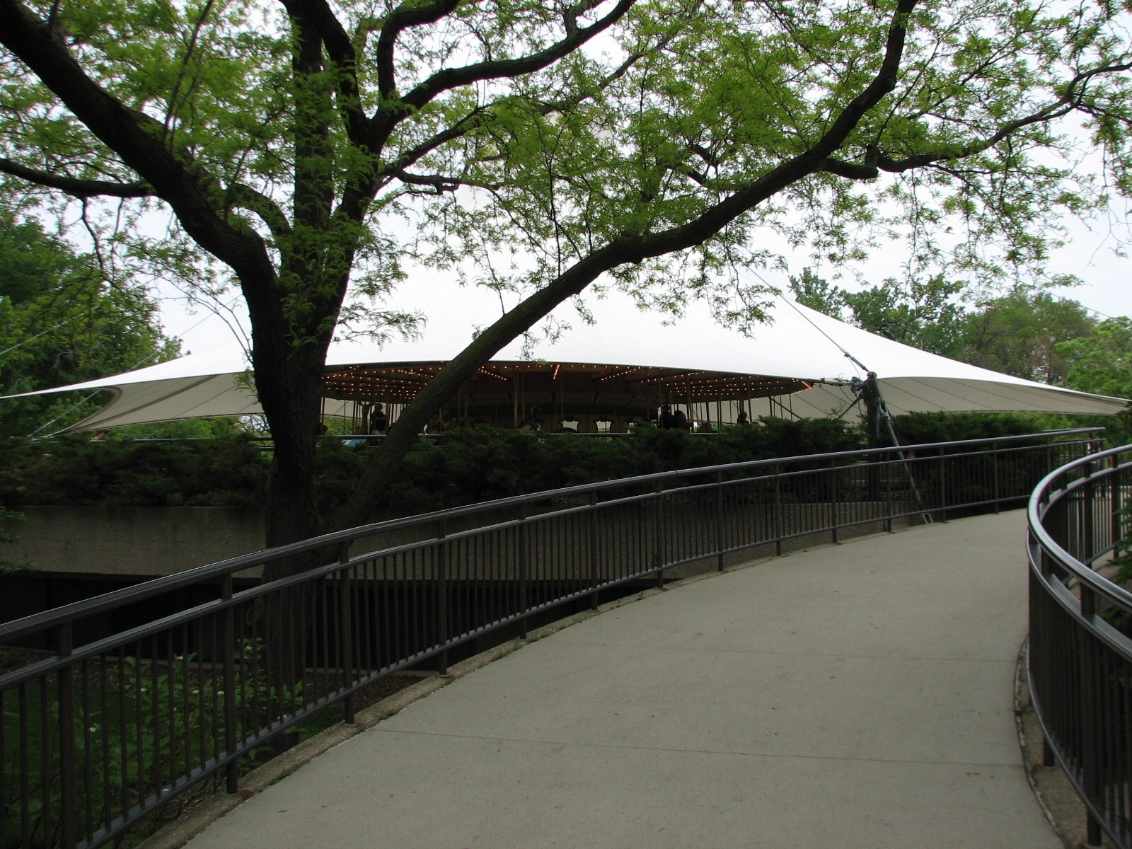 Endangered Species Carousel