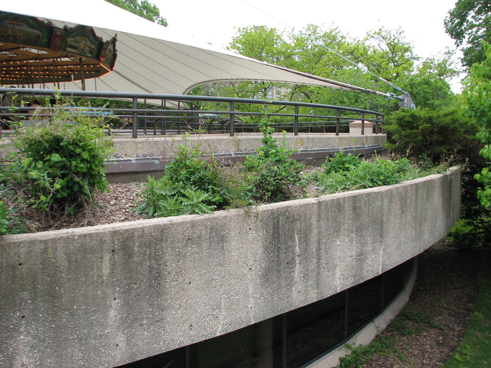 Endangered Species Carousel