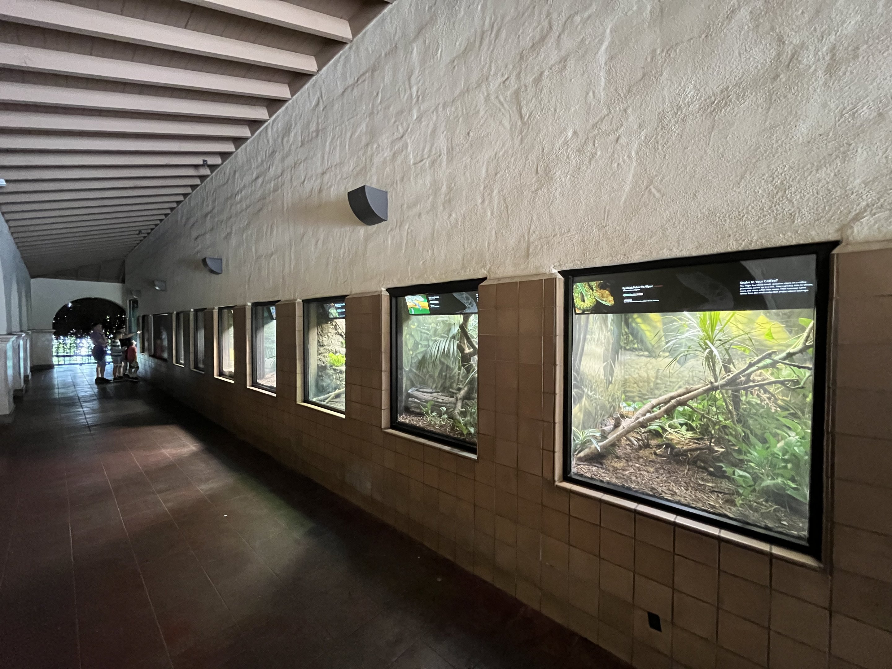 Endless number of terrariums at this zoo