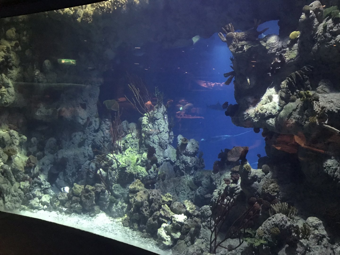 Endless Ocean - differing upper level view 260519