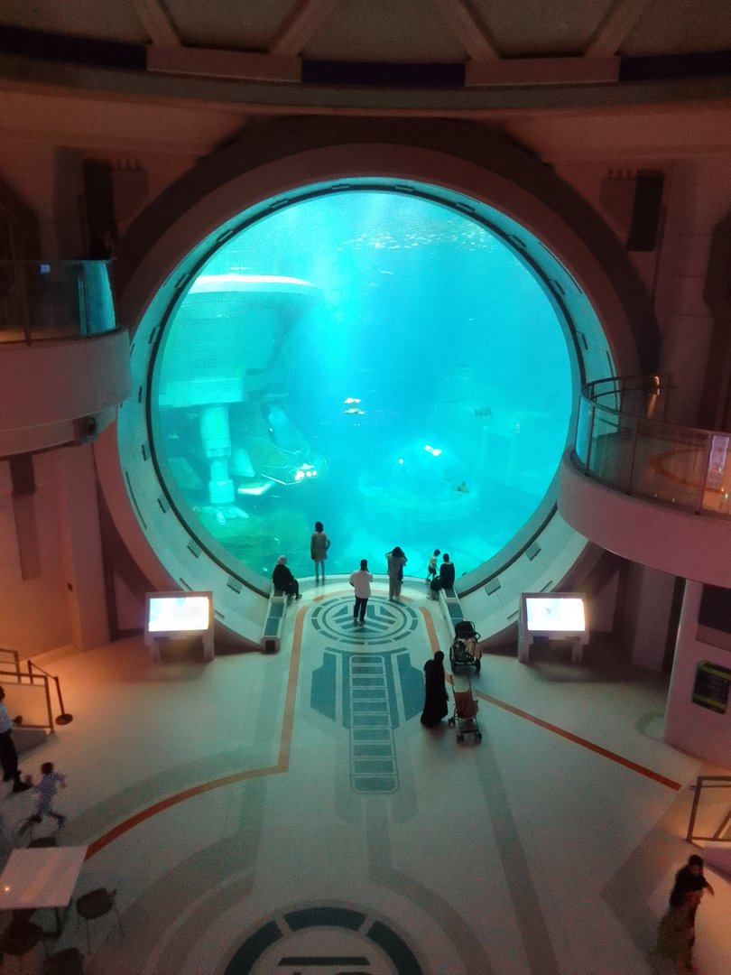 Endless Ocean main window SeaWorld Abu Dhabi