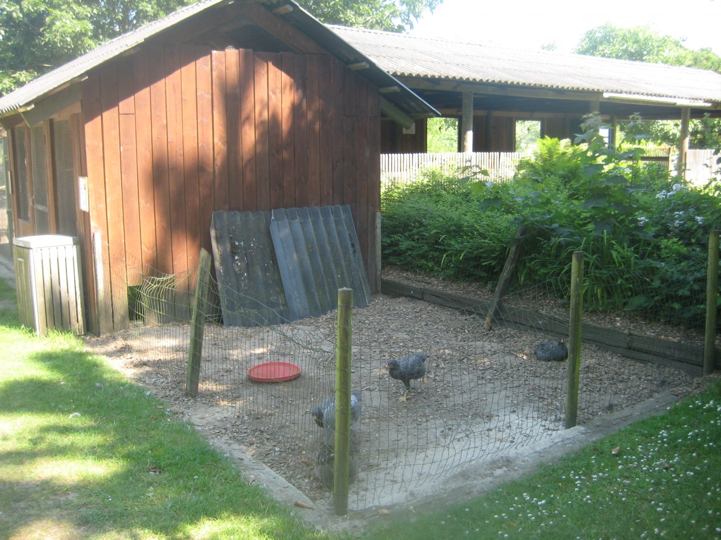 Enghave Dyre- og Naturpark - Chicken exhibit