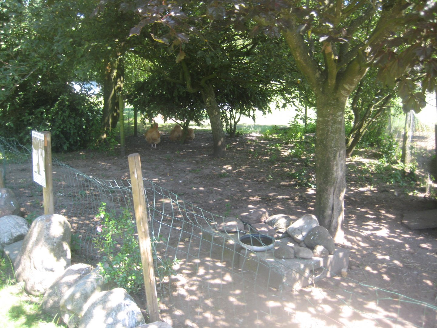 Enghave Dyre- og Naturpark - Chicken exhibit