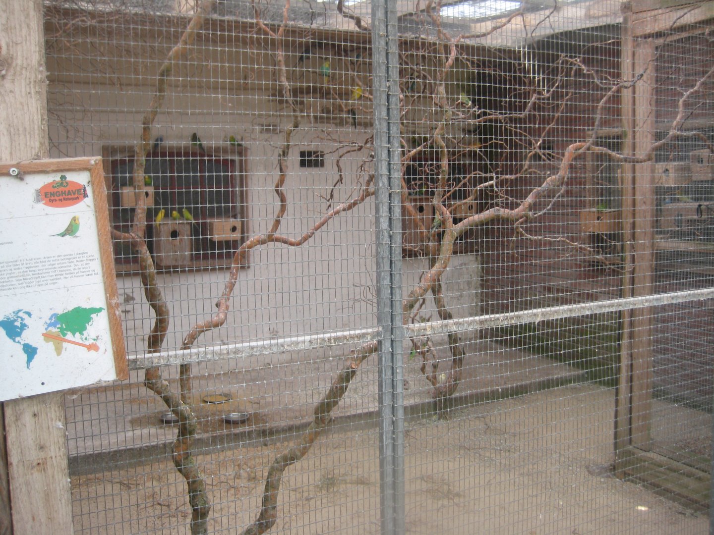 Enghave Dyre- og Naturpark - Courtyard - Budgie aviary #2