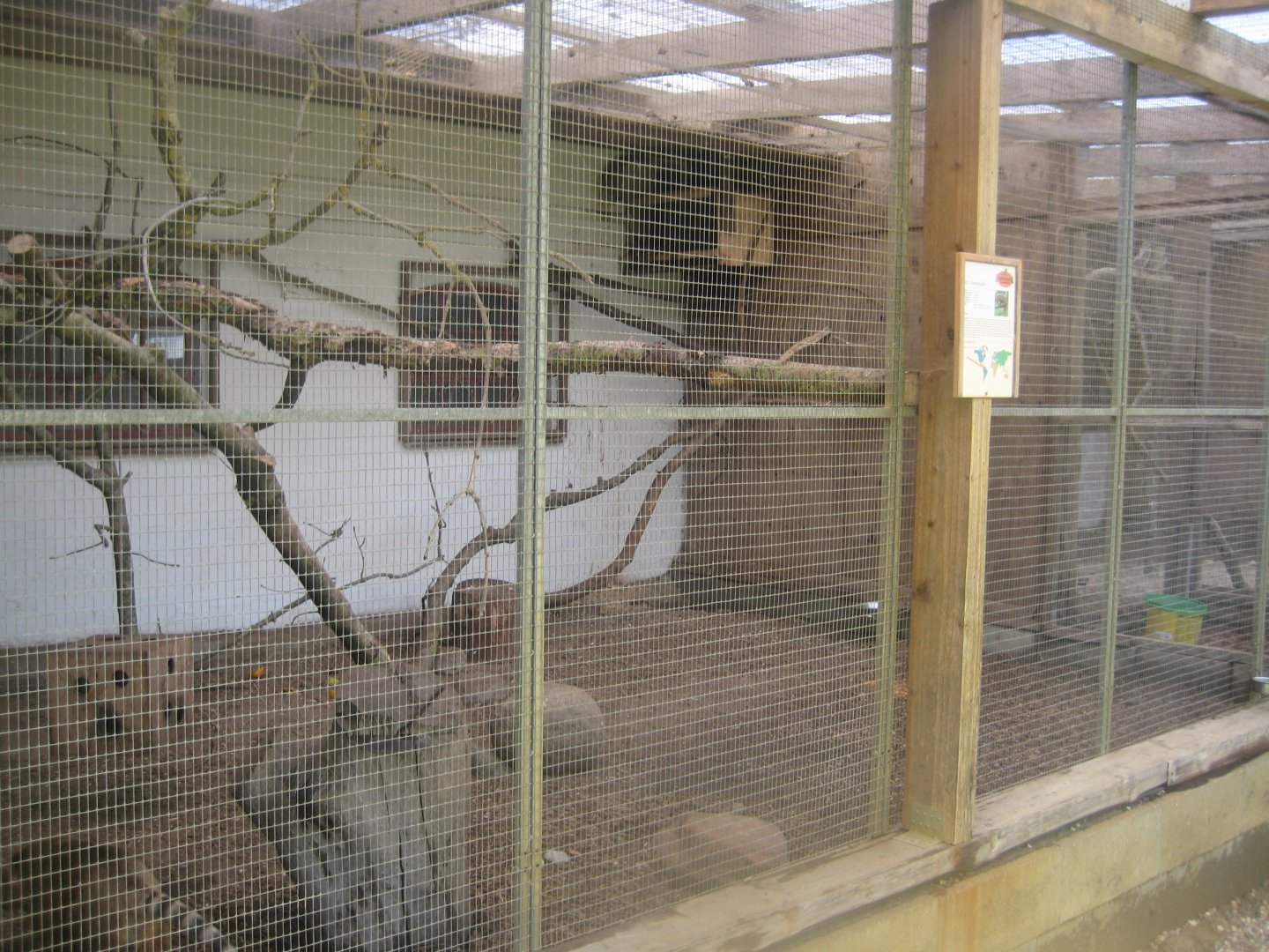 Enghave Dyre- og Naturpark - Courtyard - Coati exhibit