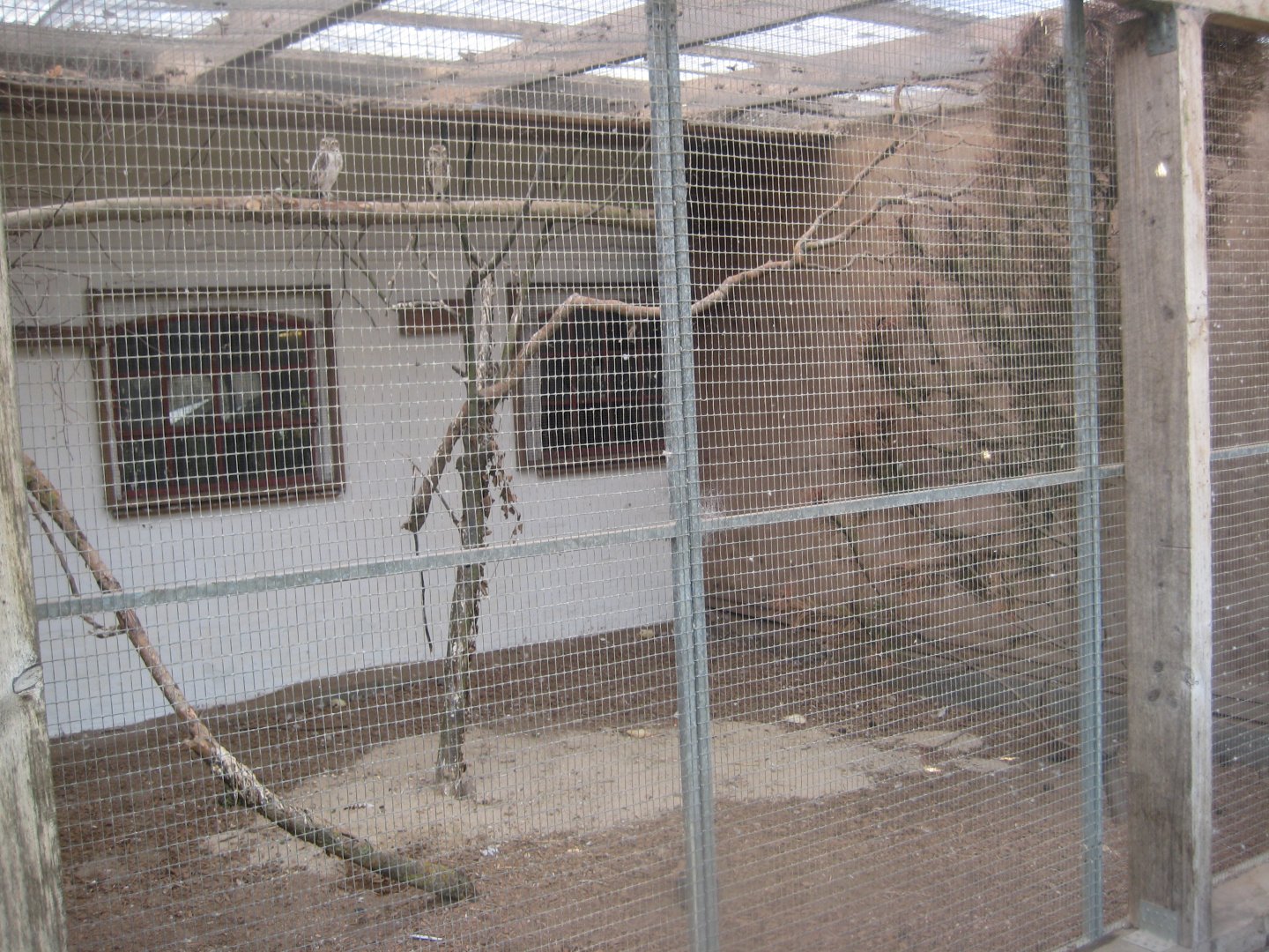 Enghave Dyre- og Naturpark - Courtyard - Owl aviary