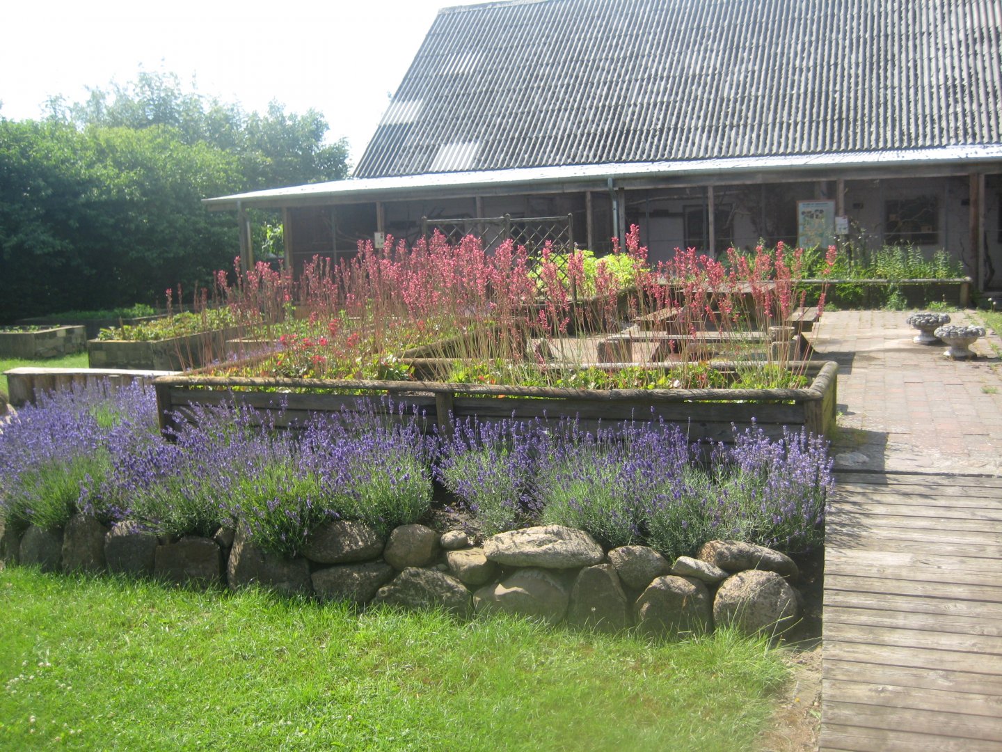 Enghave Dyre- og Naturpark - Courtyard