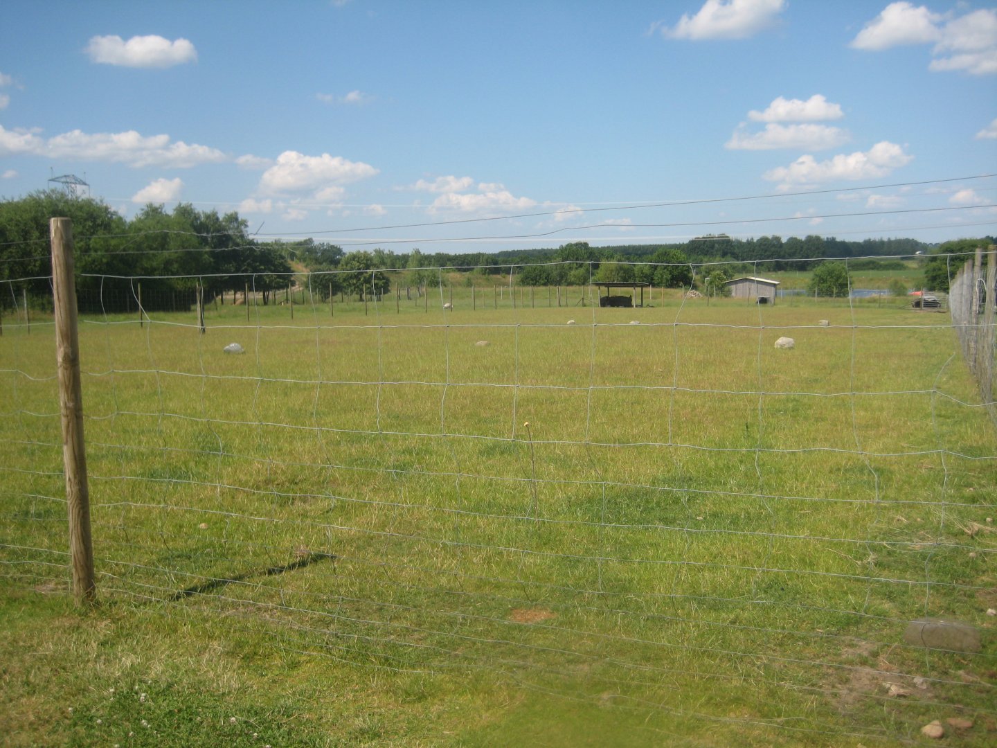 Enghave Dyre- og Naturpark - Deer exhibit