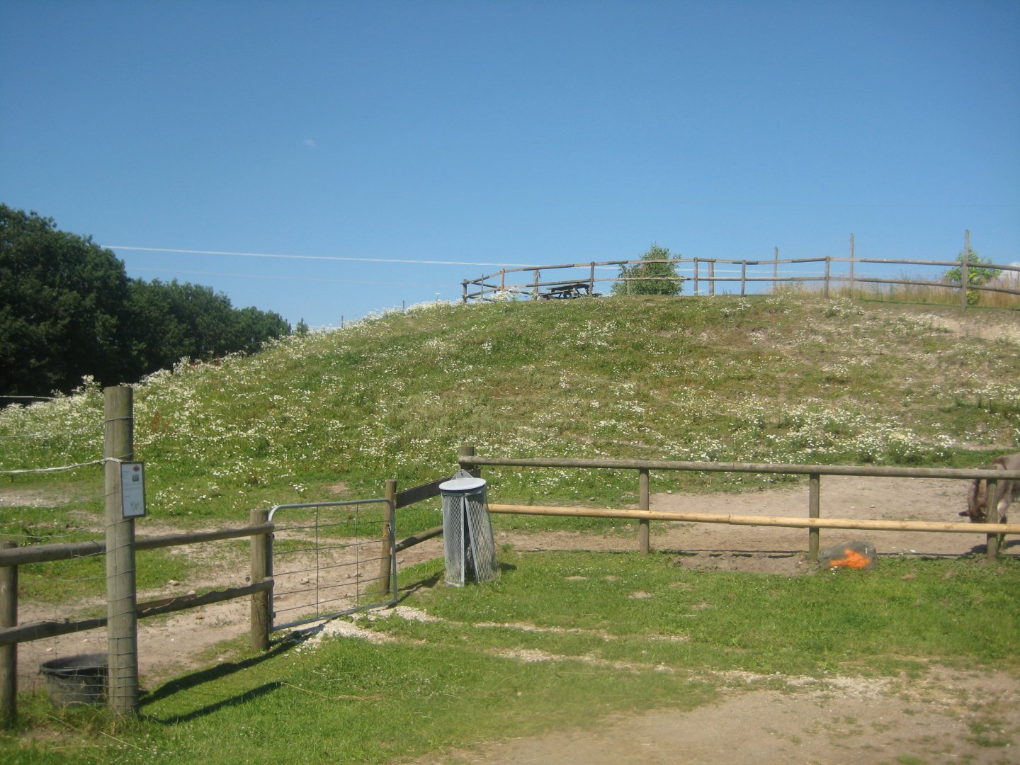Enghave Dyre- og Naturpark - Donkey exhibit #1