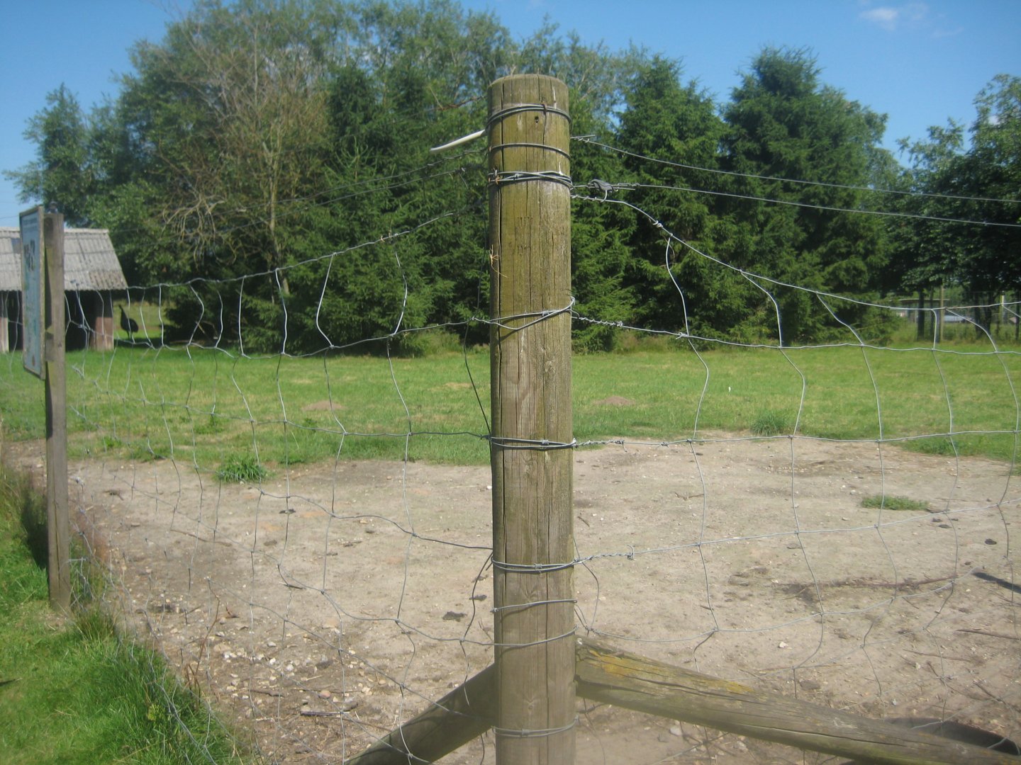 Enghave Dyre- og Naturpark - Emu exhibit