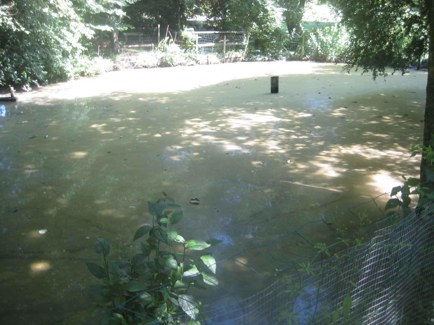 Enghave Dyre- og Naturpark - Fish pond