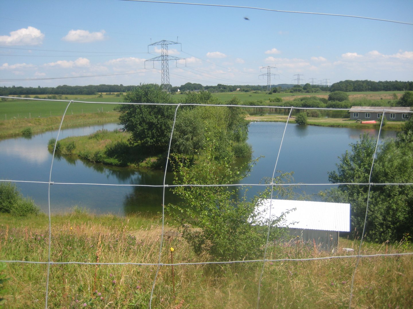 Enghave Dyre- og Naturpark - Fishing lake