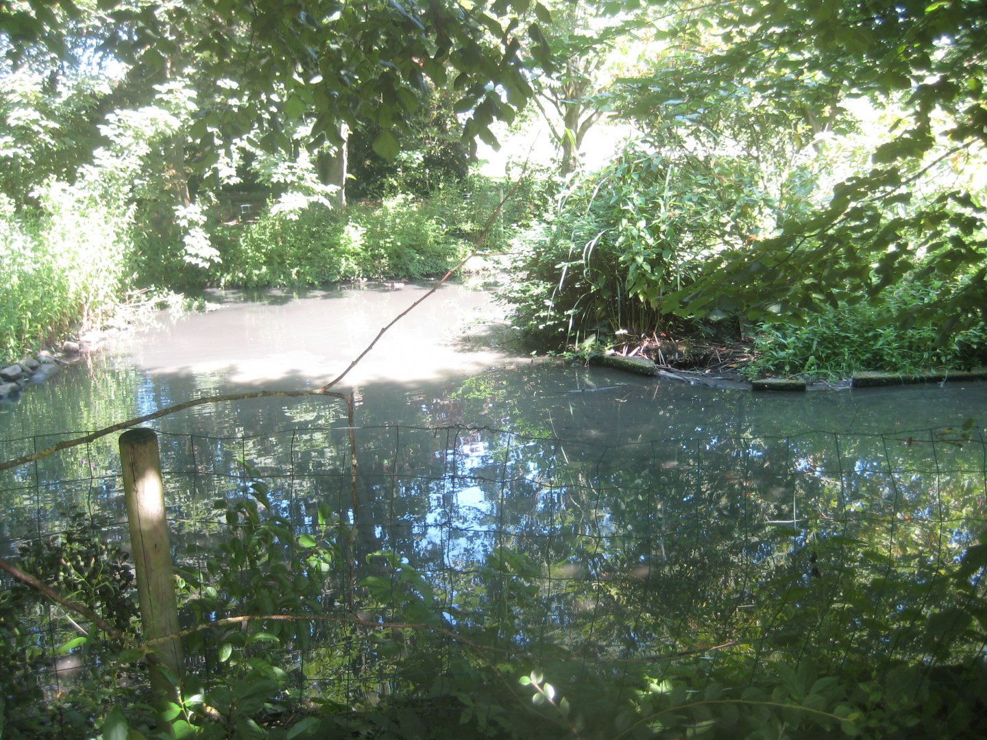 Enghave Dyre- og Naturpark - Former duck/goose exhibit