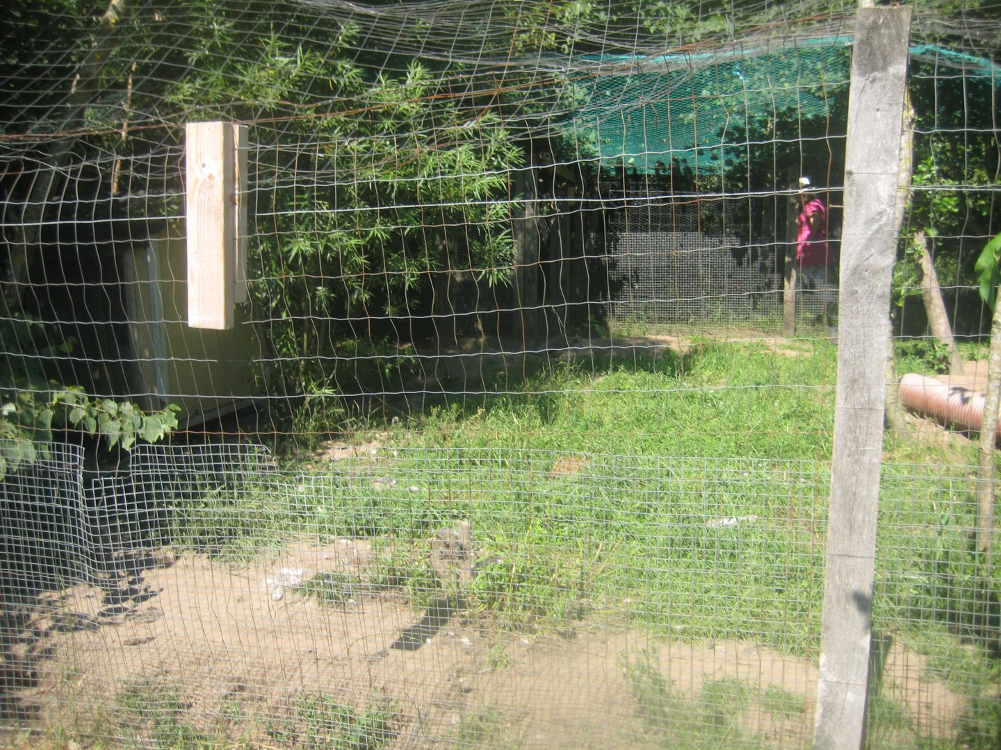 Enghave Dyre- og Naturpark - Fox exhibit