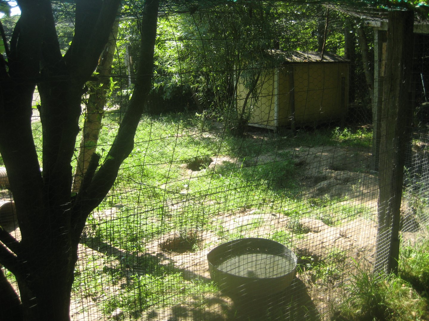 Enghave Dyre- og Naturpark - Fox exhibit