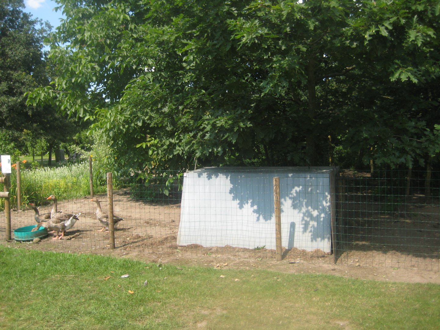 Enghave Dyre- og Naturpark - Goose exhibit