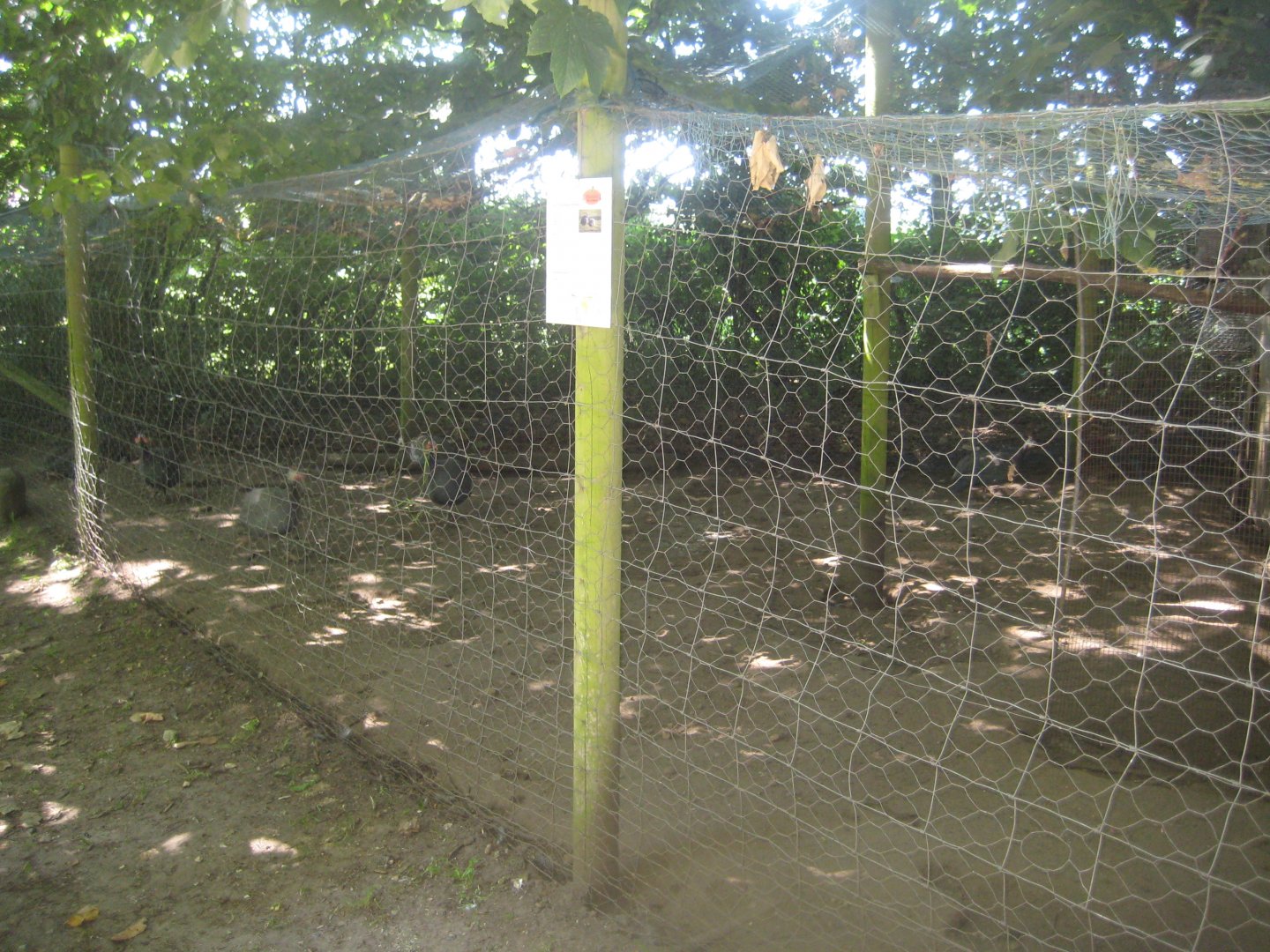 Enghave Dyre- og Naturpark - Guineafowl aviary