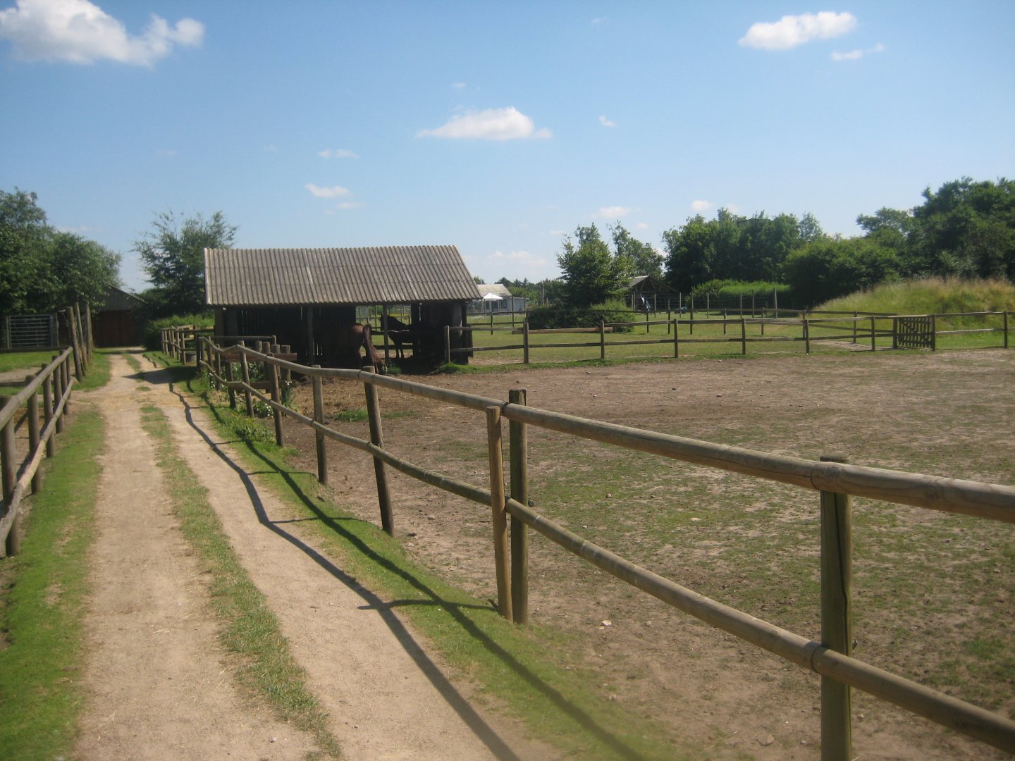 Enghave Dyre- og Naturpark - Horse exhibit #1