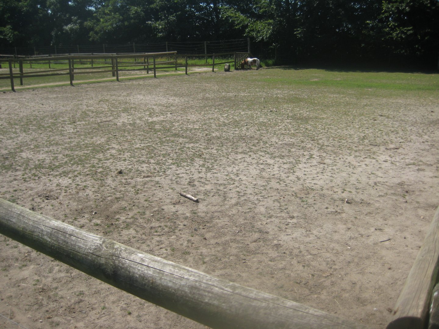 Enghave Dyre- og Naturpark - Horse exhibit #2