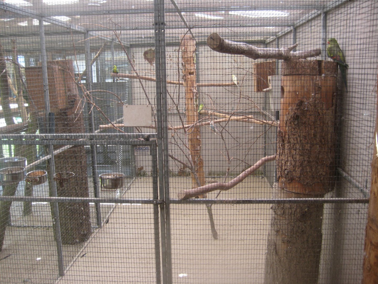 Enghave Dyre- og Naturpark - Mixed parrot aviary #1