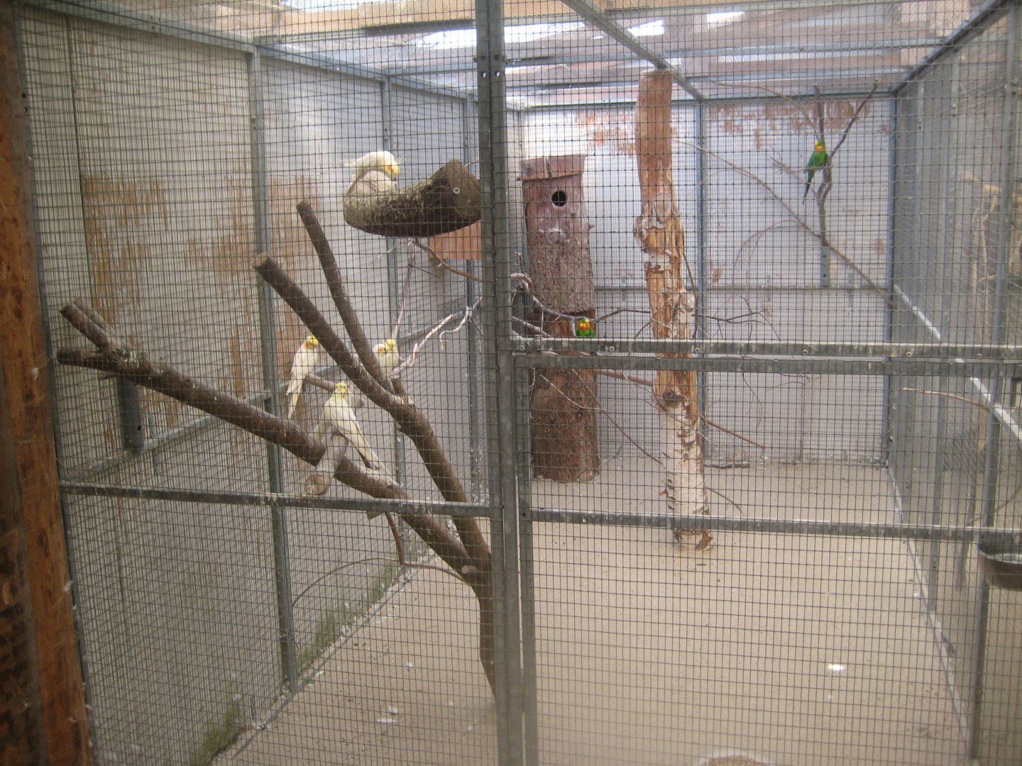 Enghave Dyre- og Naturpark - Mixed parrot aviary #2