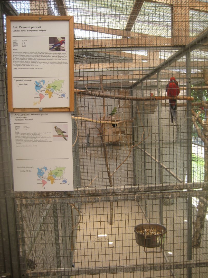Enghave Dyre- og Naturpark - Mixed parrot aviary #3