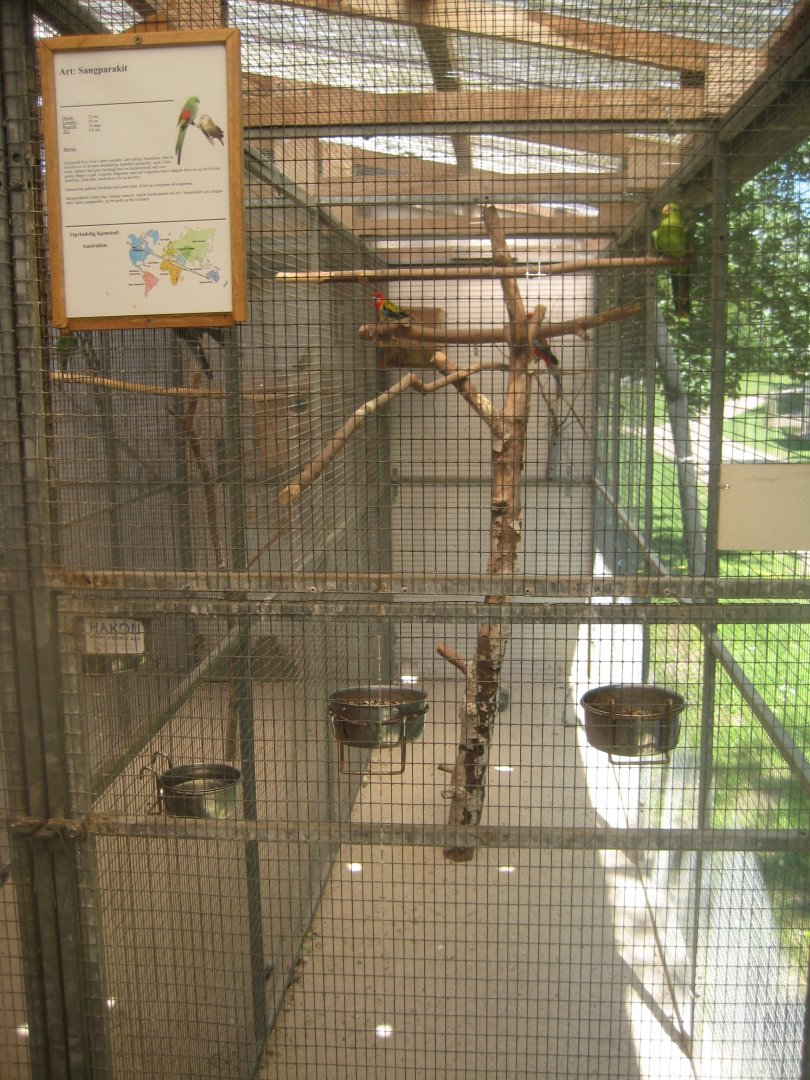 Enghave Dyre- og Naturpark - Mixed parrot aviary #4