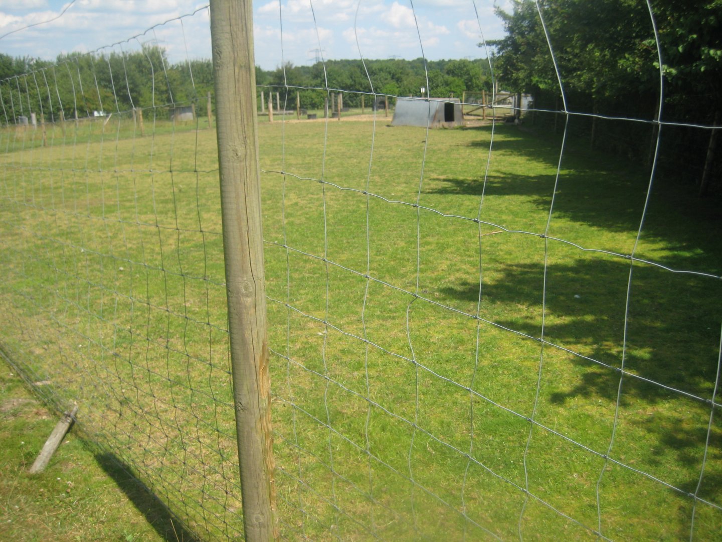 Enghave Dyre- og Naturpark - Ouessant sheep exhibit