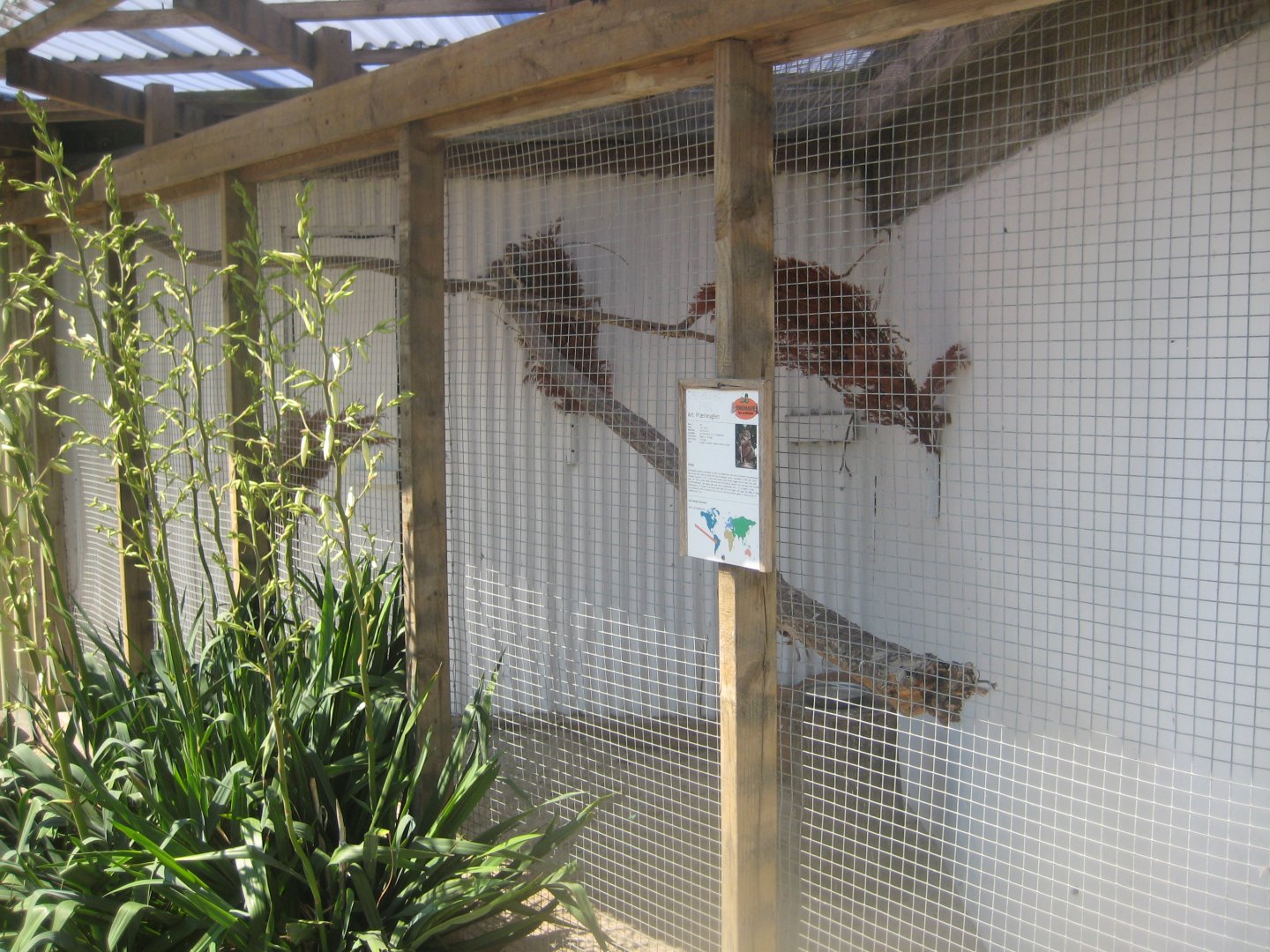 Enghave Dyre- og Naturpark - Owl aviary #1