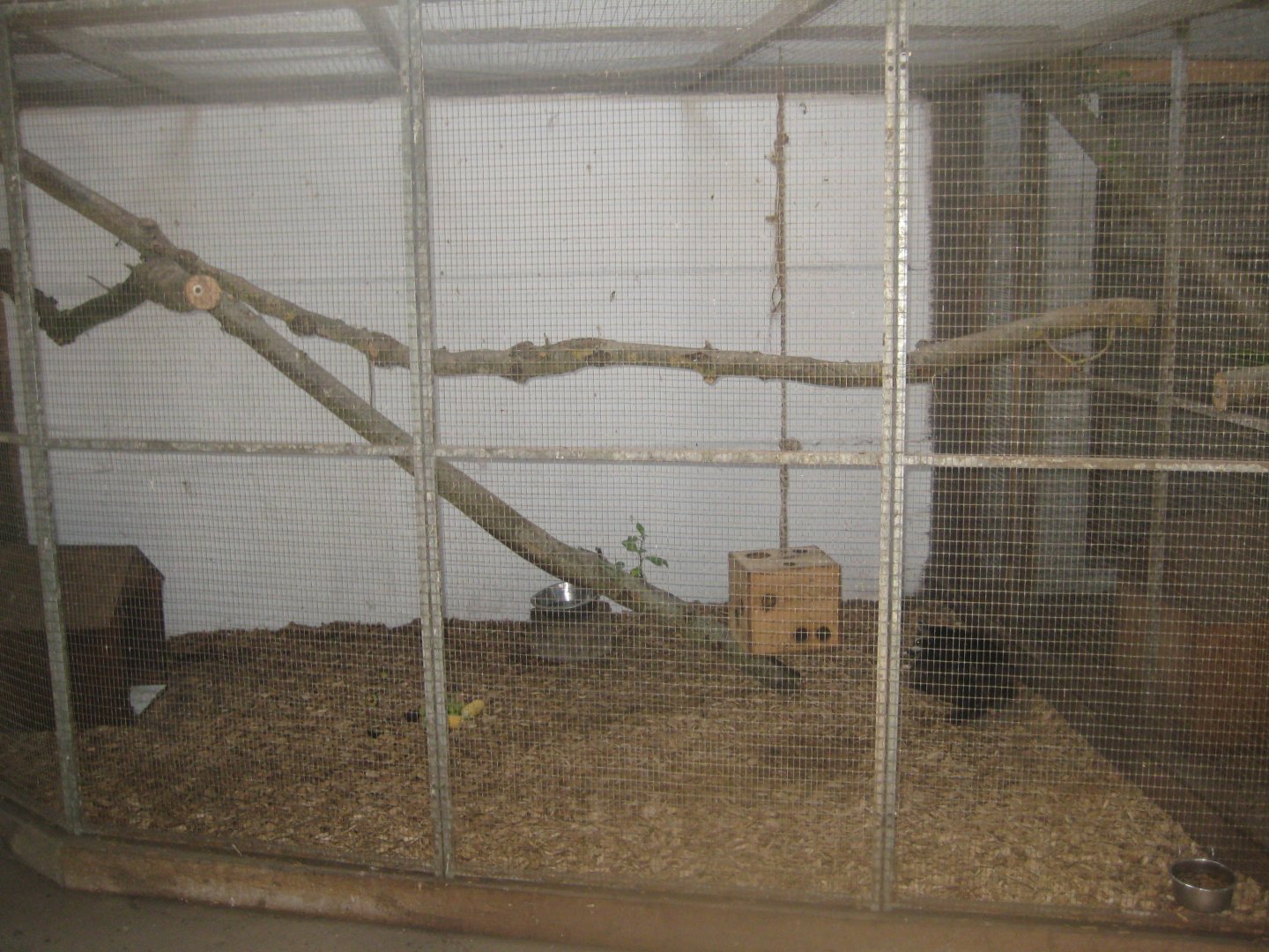 Enghave Dyre- og Naturpark - Petting stable - Raccoon exhibit