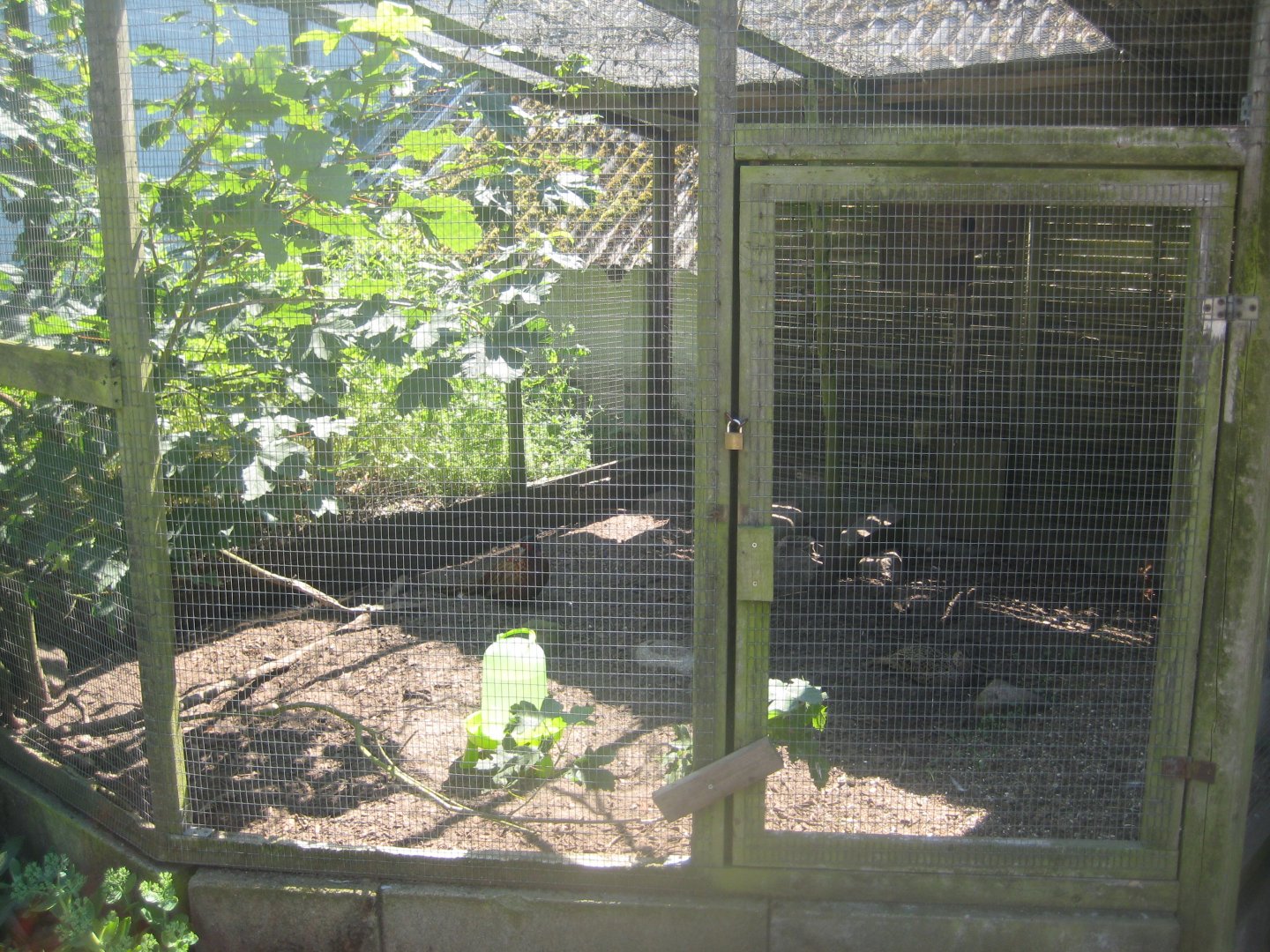 Enghave Dyre- og Naturpark - Pheasant aviary